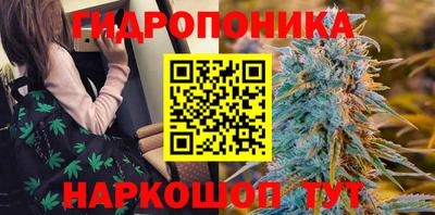 каннабис Камышлов