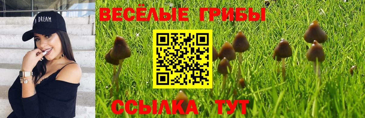 Галлюциногенные грибы GOLDEN TEACHER  Вход с VPN  как найти наркотики  Краснокаменск 